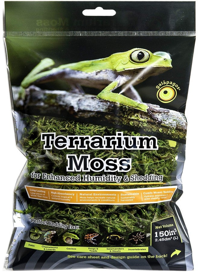 Galapagos (05211 Terrarium Sphagnum Moss, Fresh Green, 150in3 Header Bag - Image 1
